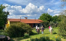 Casa Das Palmeiras-Pedagogic Farm
